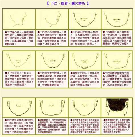 下巴圓 面相|面相學：從下巴來看一個人的性格禍福 